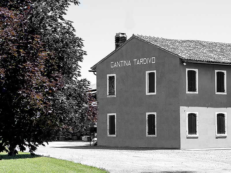 azienda agricola tardivo antonio - cantina vini Veneto Treviso Pordenone Venezia